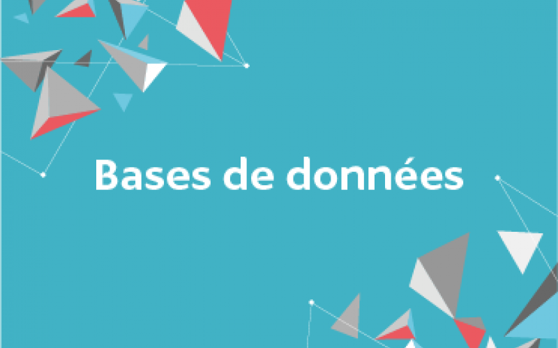 Vignette-base de données