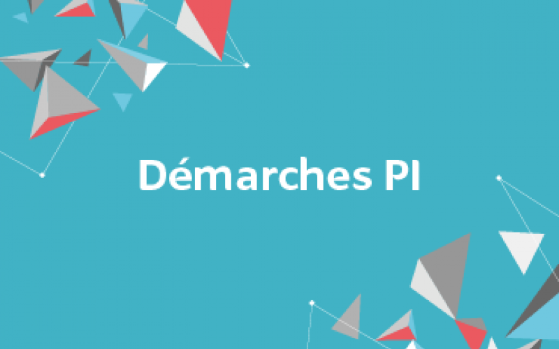 Vignette-Démarches PI